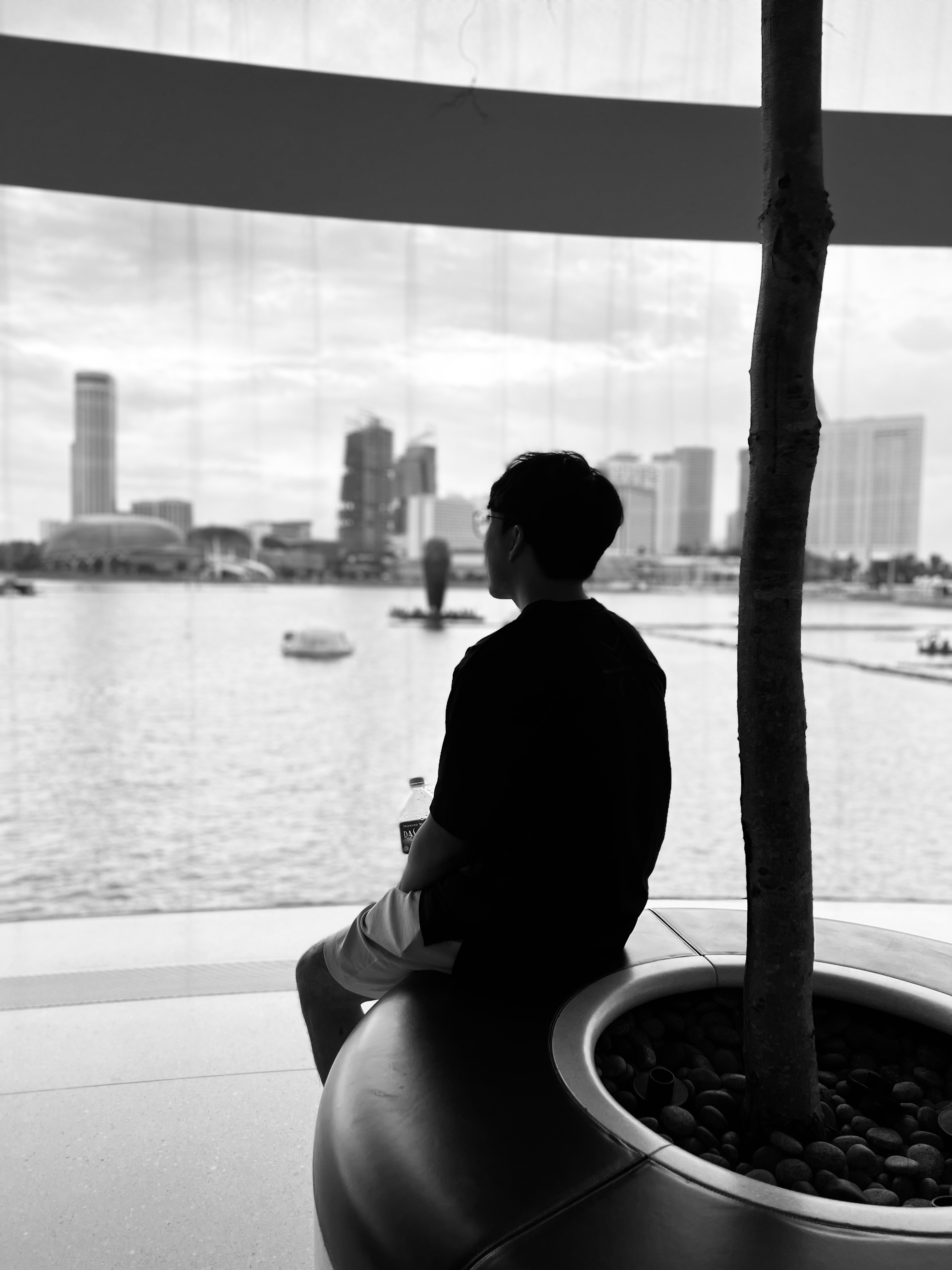 Cong Zhang's profile picture